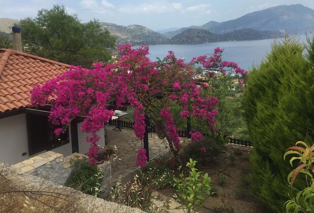 Selimiye Houses - Görsel 4