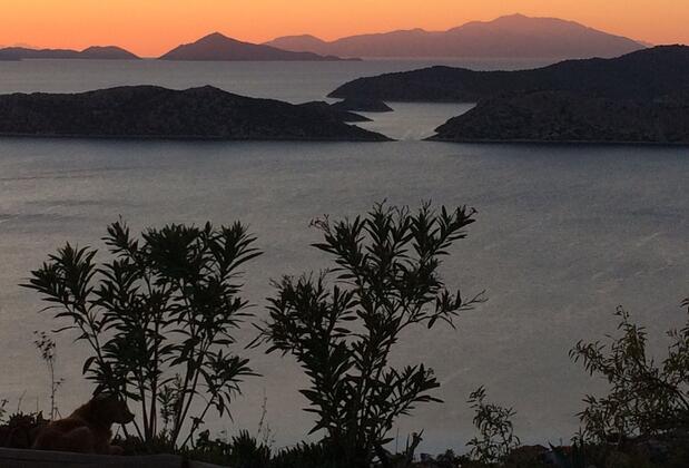 Selimiye Houses - Görsel 9