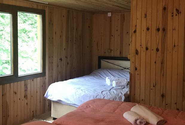 Ayder Şelale Dağ Evi - Görsel 4