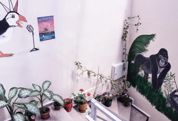 Puffin Hostel - Görsel 46