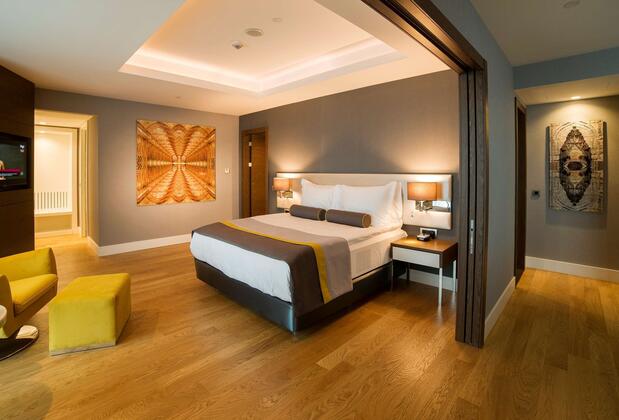 Radisson Blu Otel Kayseri - Görsel 39