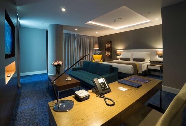 Radisson Blu Otel Kayseri - Görsel 41