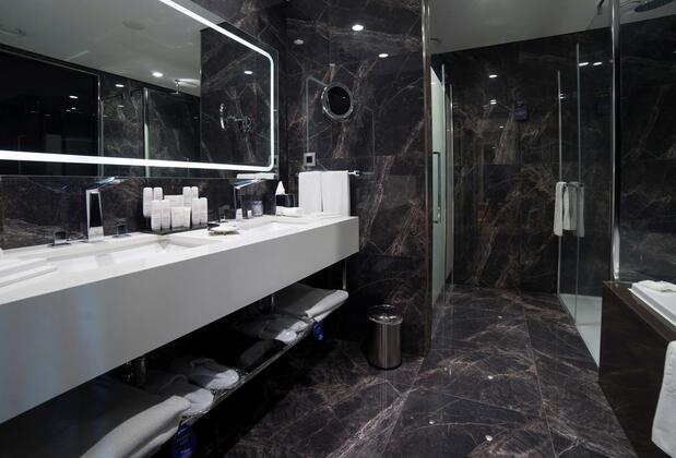 Radisson Blu Otel Kayseri - Görsel 42