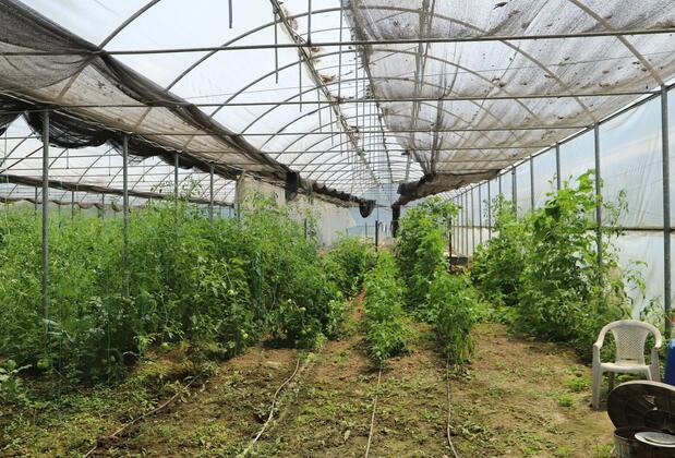 Yüzüncüyıl Ecopark Otel - Görsel 37