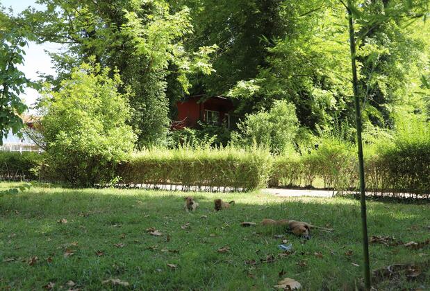 Yüzüncüyıl Ecopark Otel - Görsel 35