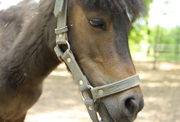 Yüzüncüyıl Ecopark Otel - Görsel 22