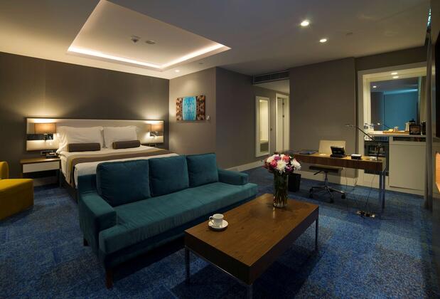 Radisson Blu Otel Kayseri - Görsel 46