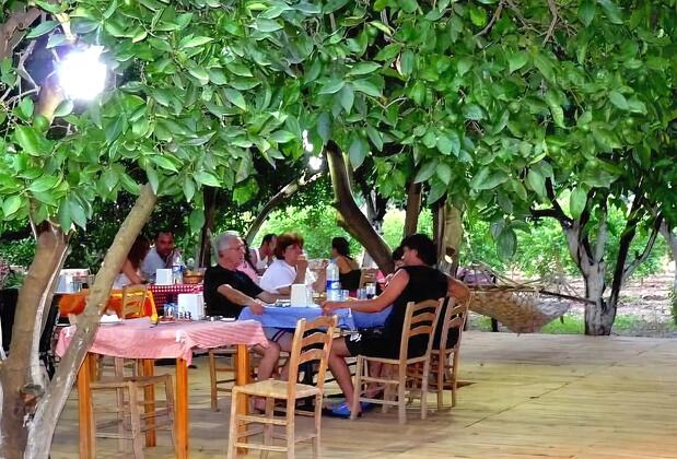 Portakal Bahçesi Bungalow - Görsel 12