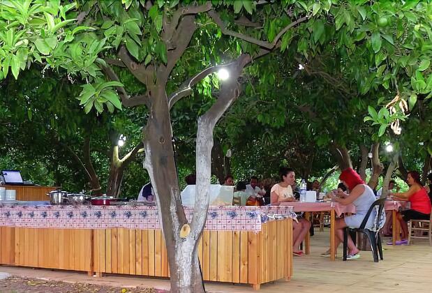 Portakal Bahçesi Bungalow - Görsel 6