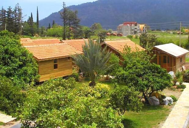 Portakal Bahçesi Bungalow - Görsel 7