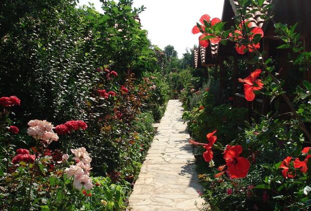 Portakal Bahçesi Bungalow - Görsel 8