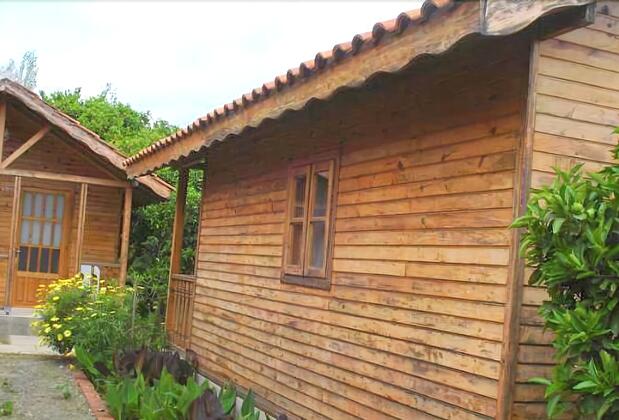 Portakal Bahçesi Bungalow - Görsel 9