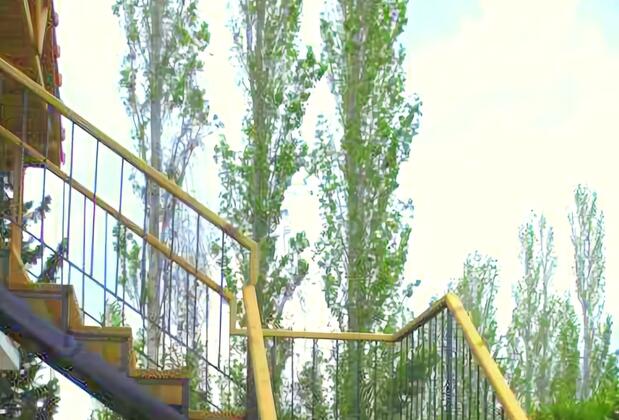 Portakal Bahçesi Bungalow - Görsel 11