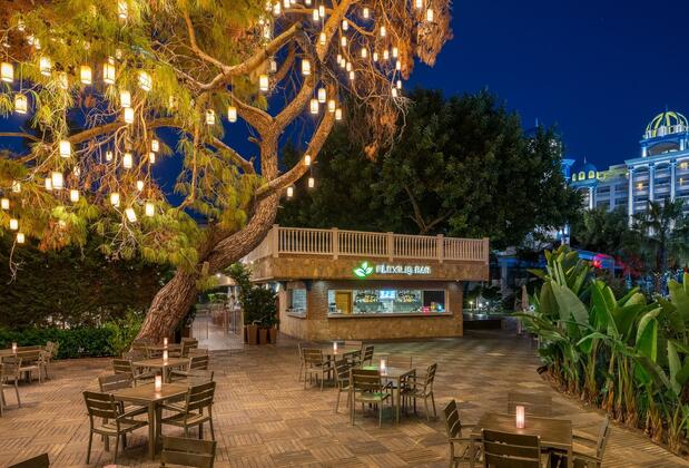 Rubi Platinum Spa Resort & Suites - Görsel 6