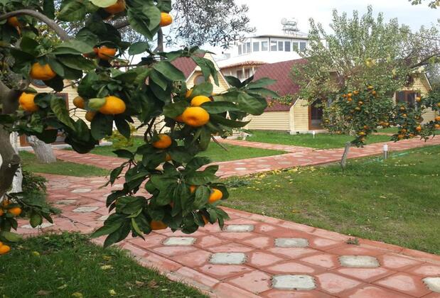 İdavilla Bungalow Hotel - Görsel 23