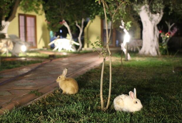 İdavilla Bungalow Hotel - Görsel 33