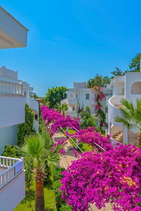 Bendis Beach Hotel - Görsel 2