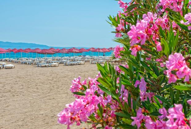 Bendis Beach Hotel - Görsel 9