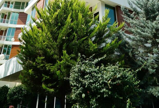 Alba Ankara Otel - Görsel 5