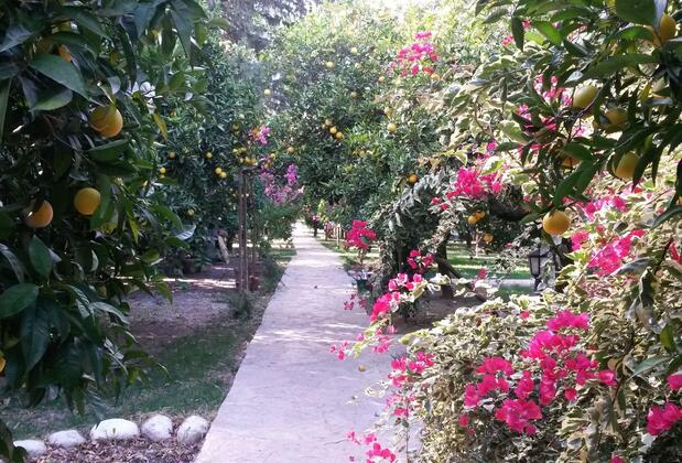 Hotel Yavuz Bungalow - Görsel 13