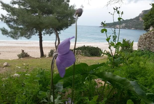 Hotel Yavuz Bungalow - Görsel 14