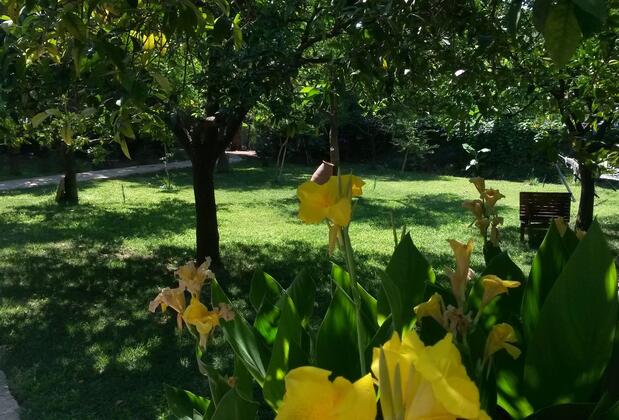 Hotel Yavuz Bungalow - Görsel 8