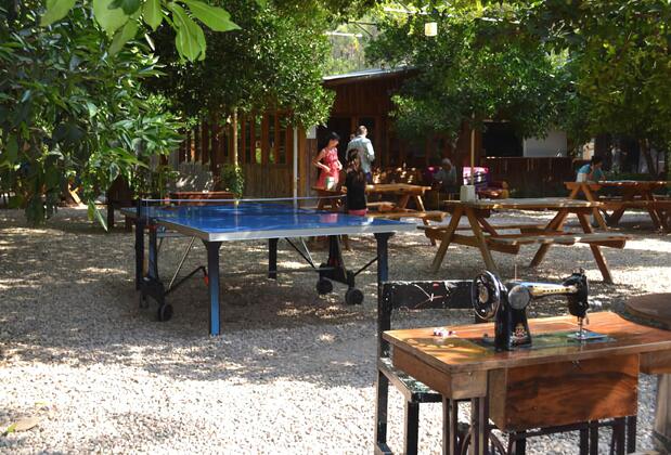 Olympos Doğa Pansiyon - Görsel 15