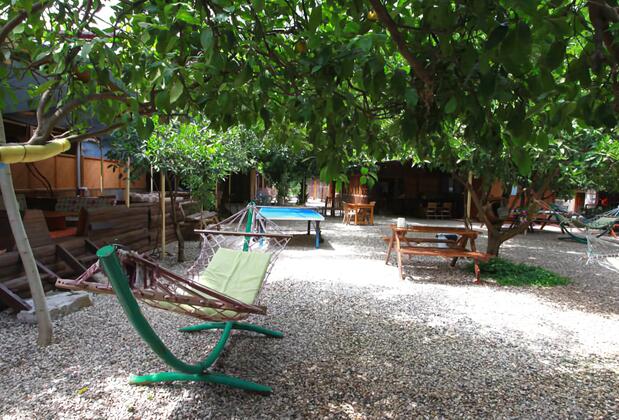 Olympos Doğa Pansiyon - Görsel 12