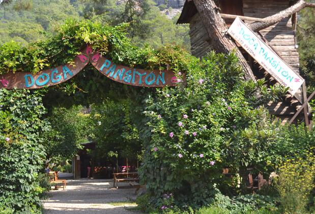 Olympos Doğa Pansiyon - Görsel 4