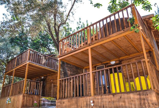 Baharoğlu Life House Faralya - Görsel 44