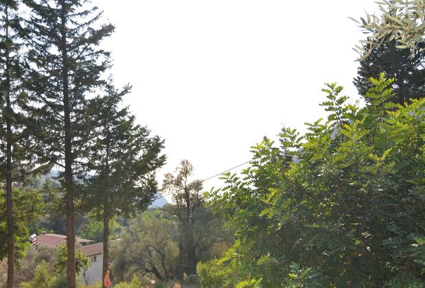 Baharoğlu Life House Faralya - Görsel 32