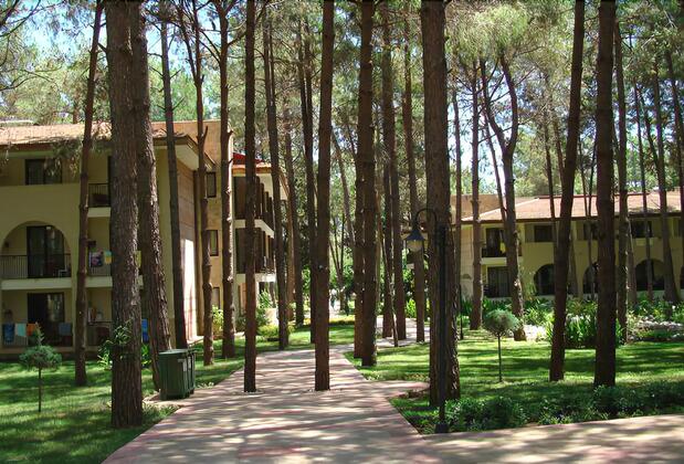 Champion Holiday Village - Görsel 10