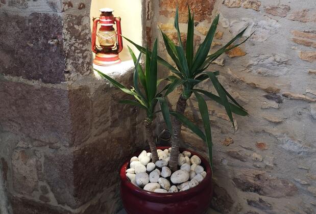 Cunda Taş Otel By Taze - Görsel 8