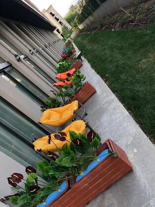 Coordinat Suits - Görsel 5