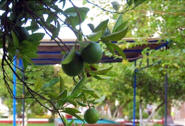 Tal Hotel - Görsel 5