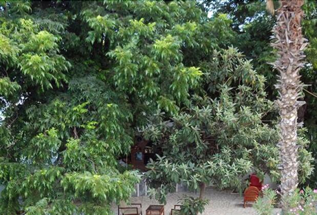 Tal Hotel - Görsel 9