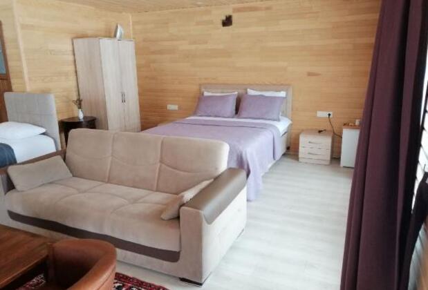 Arhavi Pınar Kır Evi - Görsel 8