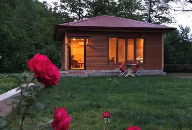 Arhavi Pınar Kır Evi - Görsel 3