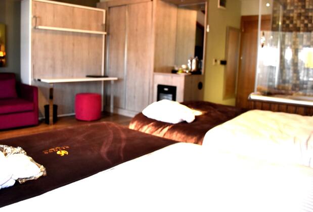 Bonne Sante Hotel - Görsel 31