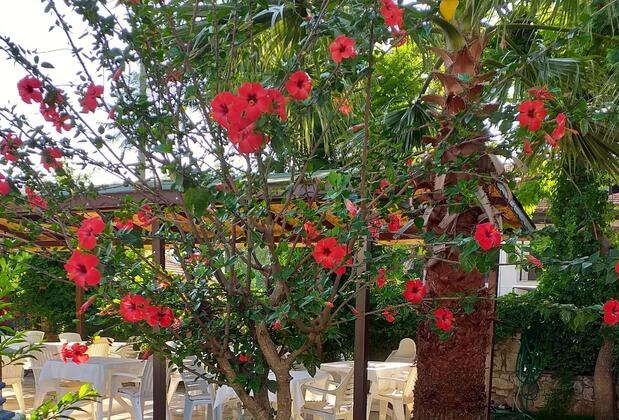 Nehir Dalyan Boutique Hotel - Görsel 21