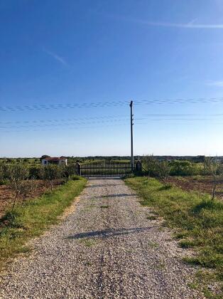 Elyada Otel Bağ Evi - Görsel 6