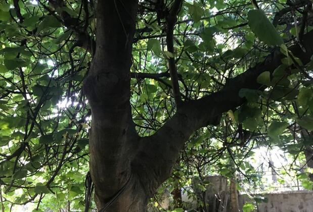 Hacısalihoğlu Apart - Görsel 7