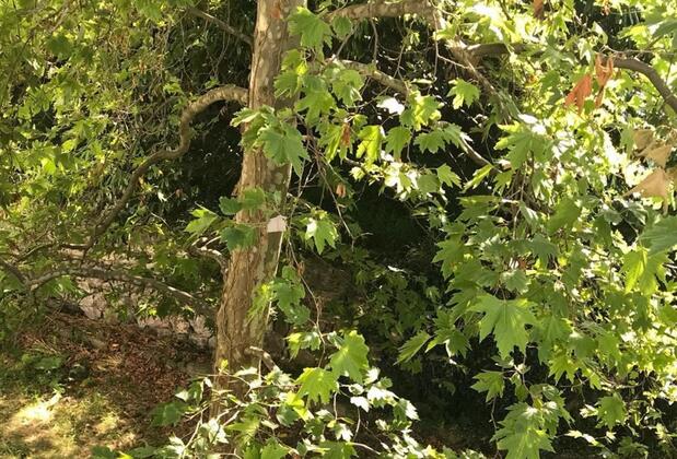 Hacısalihoğlu Apart - Görsel 13