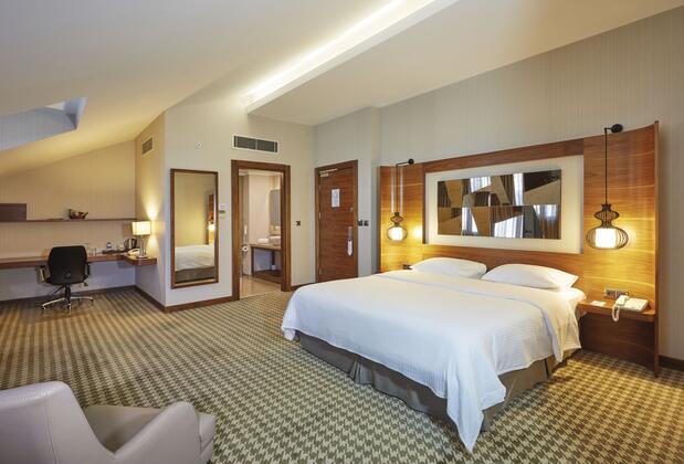 Anemon Ankara Otel - Görsel 38