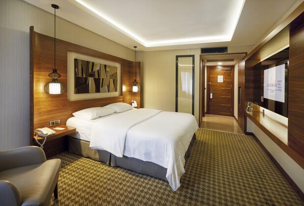 Anemon Ankara Otel - Görsel 42