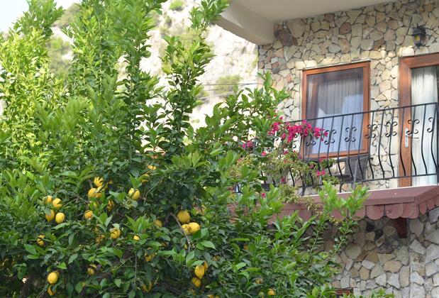 Hotel Villa Monte - Görsel 10