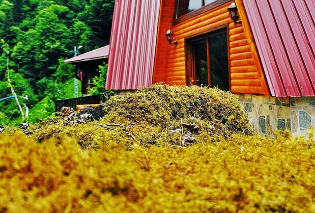 Kotit Ayder Bungalov & Restaurant - Görsel 34