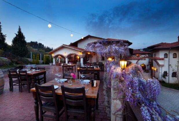 Vinifera Hotel Yedi Bilgeler Vineyards - Görsel 28