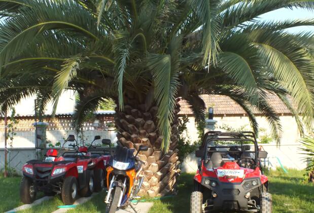 Dalyan Palmiye Resort - Görsel 9