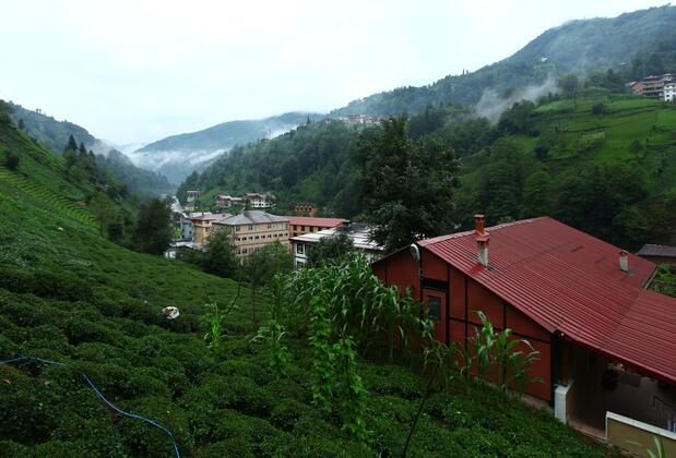 Yeşil Doğa Apart - Görsel 5